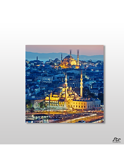 Sepya Süleymaniye Camii Kanvas Tablo 70x70 cm