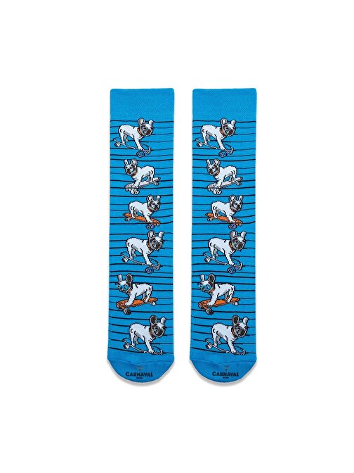 Kaykaylı French Bulldog Desenli Renkli  Çorap