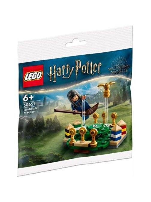 Lego Harry Potter Yaratıcı Bloklar 55 Parça Plastik Figür
