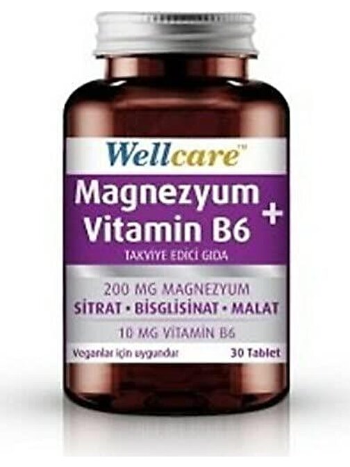 Wellcare Magnezyum + Vitamin B6 30 Tablet