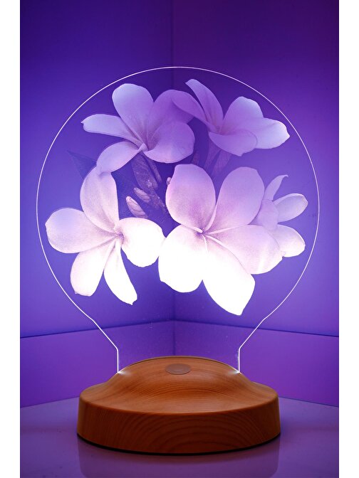 Sevgi Lambası Çiçek Figürlü, Plumeria Çiçeği Hediyesi 3D Led Lamba, Gece Lambası