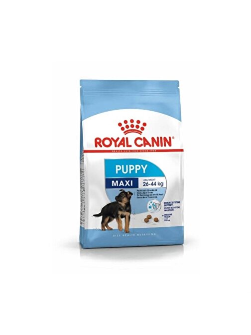 Royal Canin Maxi Puppy Büyük Irk Yavru Köpek Maması 15 Kg