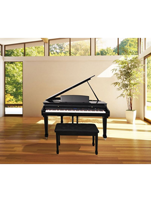 Artesia AG-50 88 Tuşlu Mikro Kuyruklu Dijital Piyano