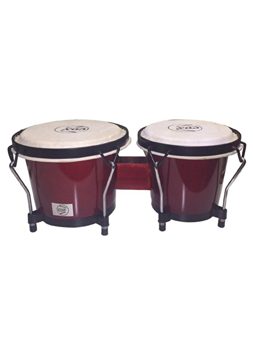 Cox BC105F-WR Bongo