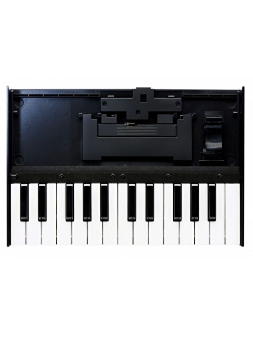Roland K-25M 25 Tuşlu Elektronik Klavye Ünitesi