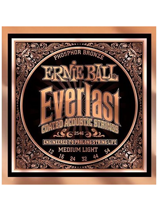 Ernie Ball P02546 Everlast Akustik Gitar Teli (MediumLight)