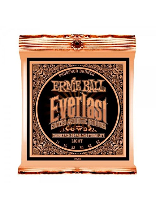 Ernie Ball P02548 Everlast Akustik Gitar Teli (Light)
