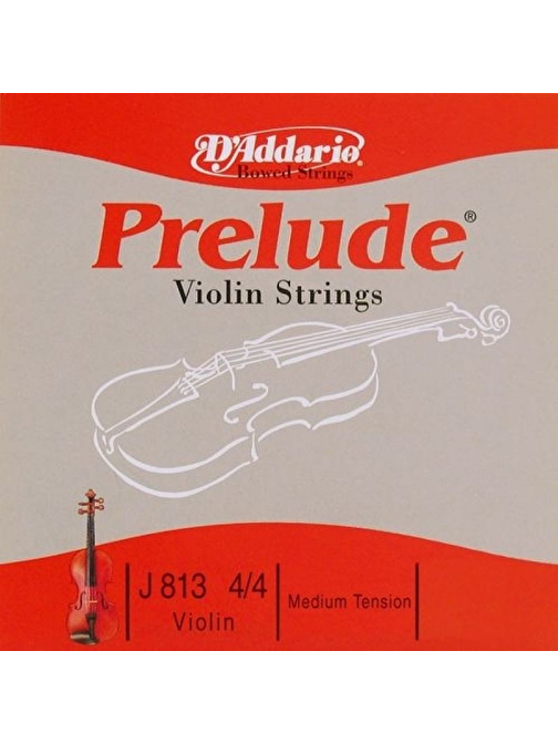 Daddarıo J813 Violin Teli Gri