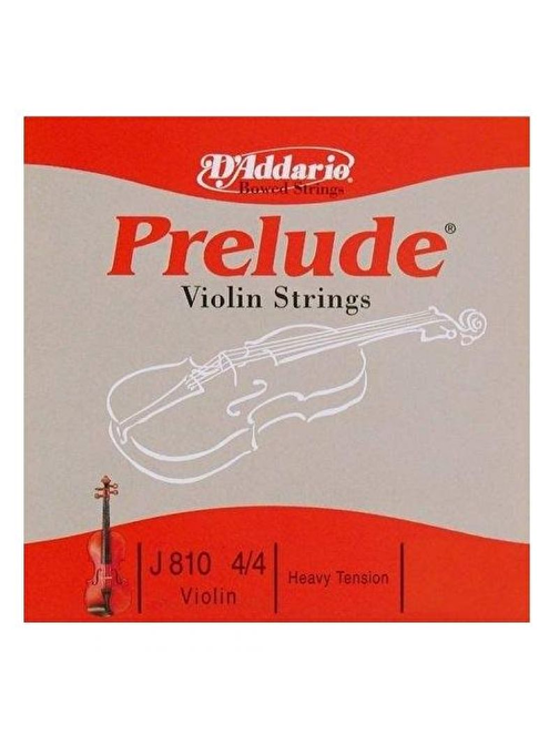 D'Addario J81044Hb10 Viyola Teli Gri