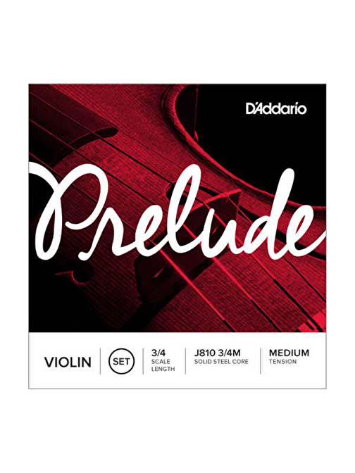 Daddarıo J81034 Violin Teli Gri