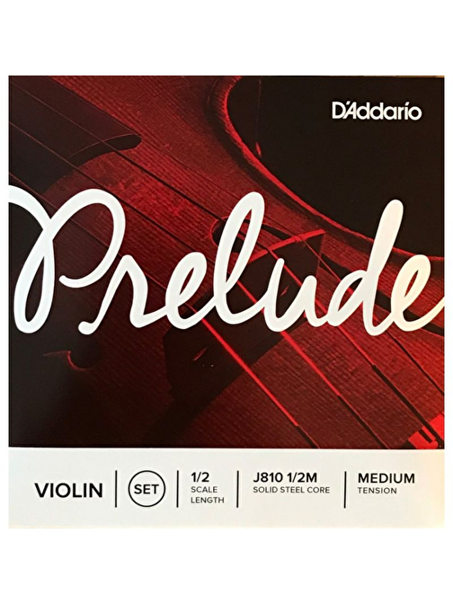 D'Addario J81012 Violin Teli Gri