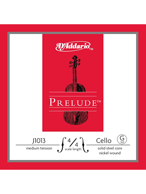 D'Addario J1013 Violin Teli 4/4M Gri