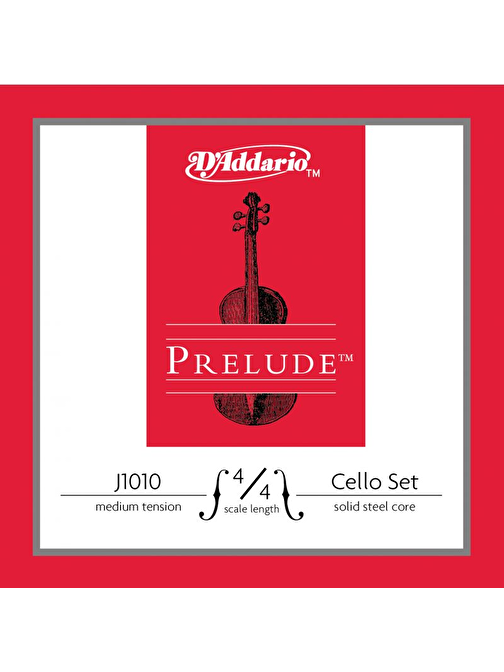 Daddarıo J101044M-B10 Violin Teli Gri