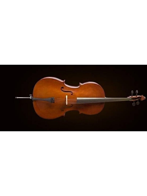 Valencia CE160G44 4/4 Akustik Çello Kahverengi