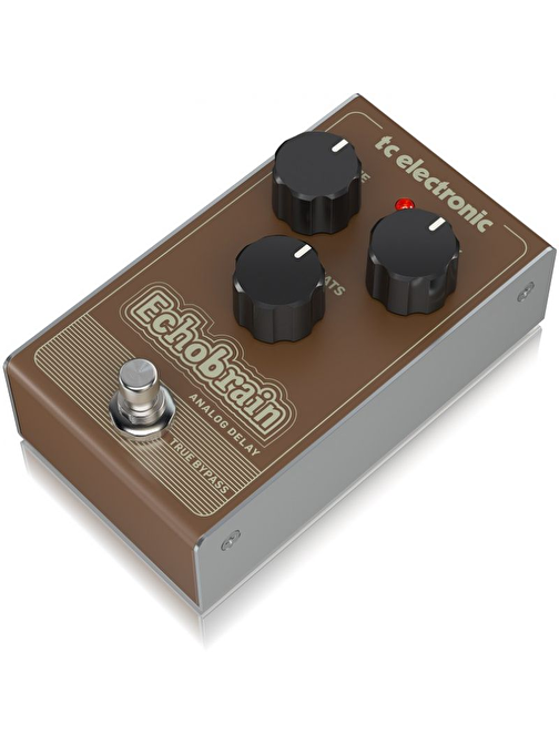 Tc Electronic Echobrain Analog Delay Delay Pedalı