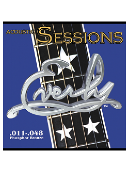 EVERLY Sessions Phosphor Bronze Akustik Tel 7211 Akustik Gitar teli Akustik Gitar Hard case