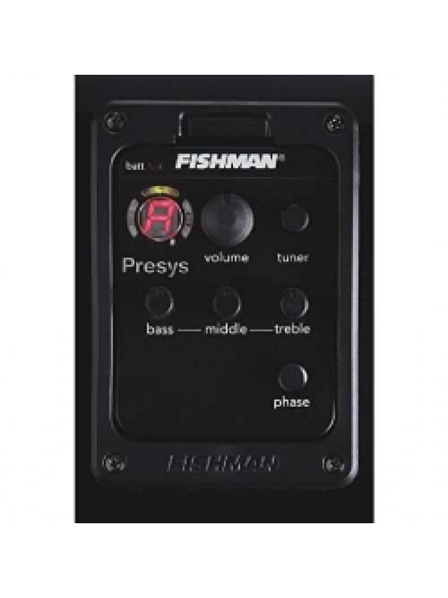 Fishman PSY101-N40 EKOLAYZER