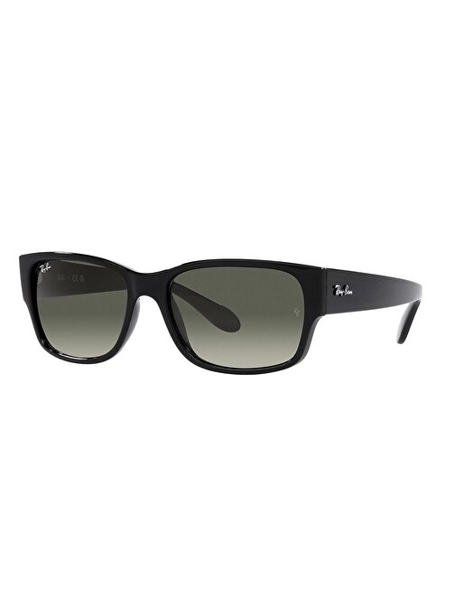 Ray-Ban RB4388 601/71 58 Unisex Güneş Gözlüğü