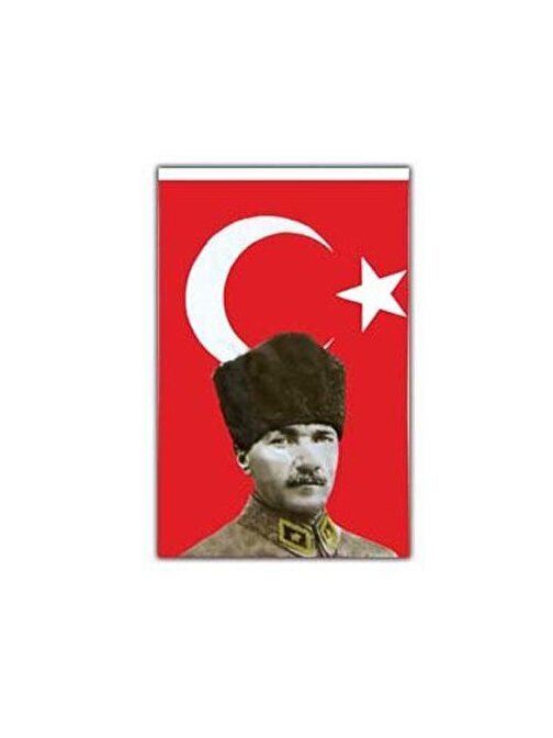 Vatan Atatürklü Bayrak 50x75 VT208