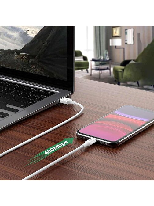 Ugreen Apple iPhone Uyumlu 2.4A Lightning Hızlı Şarj Data Kablosu 1 m