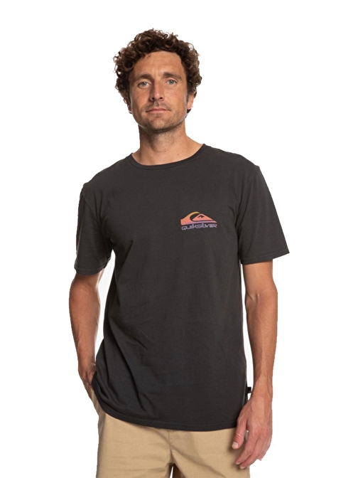 Quiksilver Eqyzt07252 Pastımeparadise Erkek T-Shirt Siyah L