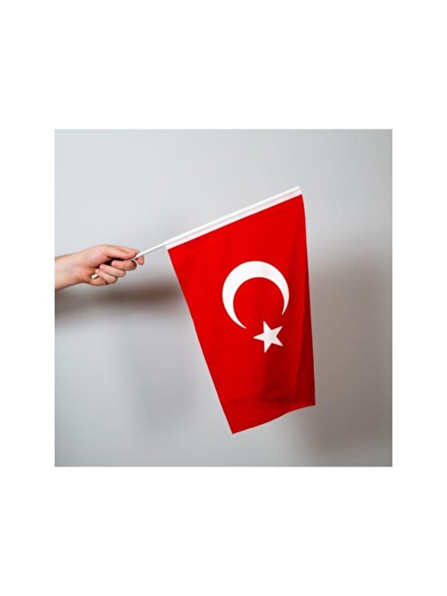 Alsepeteavm Türk bayrağı 30x45 cm Alpaka Kumaş - Sopalı-10 adet