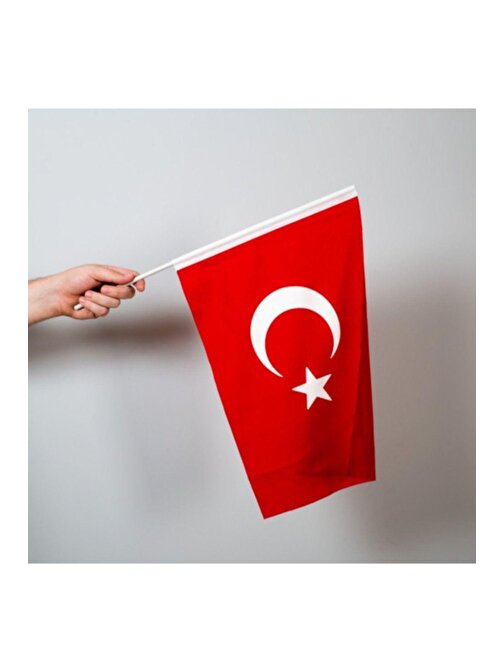 Alsepeteavm Türk bayrağı 30x45 cm Alpaka Kumaş - Sopalı  10 adet