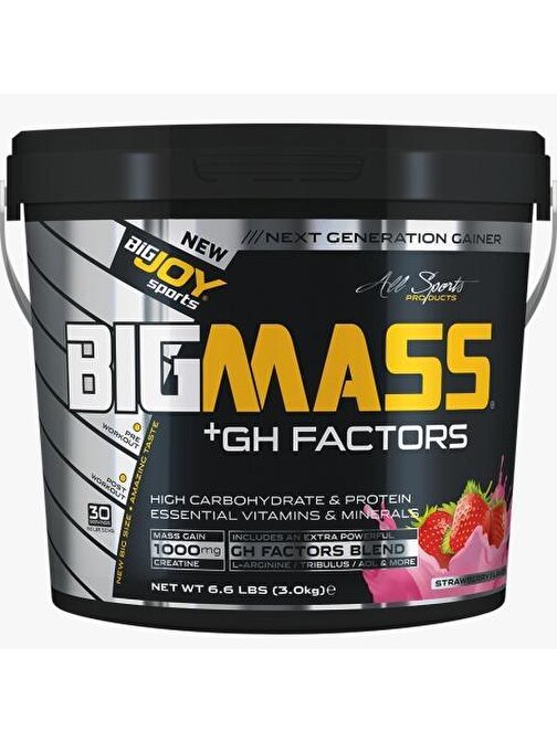 Bigjoy Sports Big Mass +Gh Factors 3000 Gr Çilek