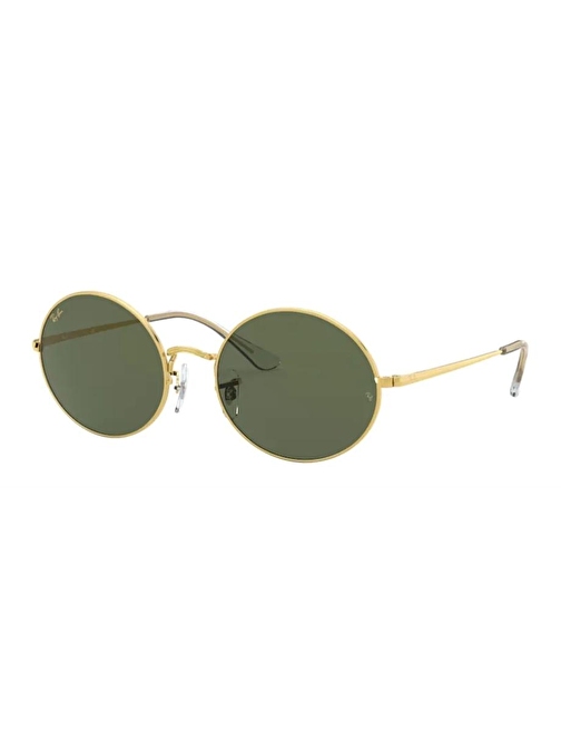 RayBan 1970 9196/31 54/19 Ekartman Unisex Güneş Gözlüğü