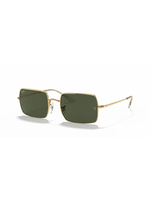 RayBan 1969 9196/31 54/19 Unisex Güneş Gözlüğü