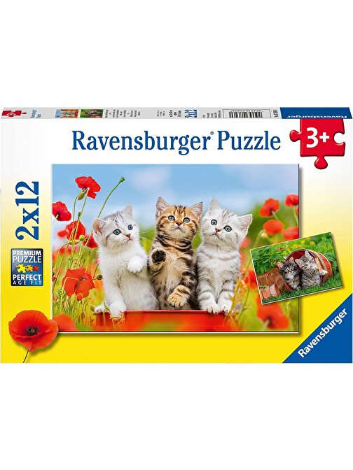 Ravensburger 2x12 Parça Puzzle Yavru Kediler 076260