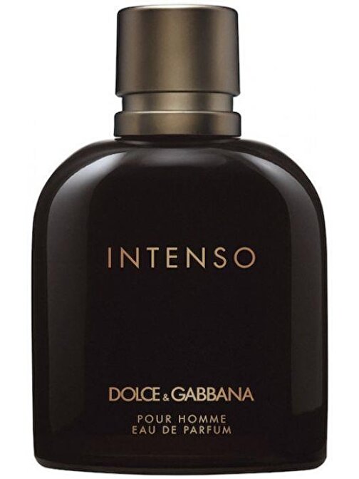 Dolce & Gabbana Intenso Erkek Erkek EDP Odunsu Erkek Parfüm 125 ml