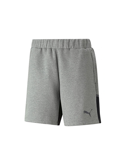 Puma Teamcup Casuals Shorts Erkek Futbol Antrenman Şortu 65798913 Gri 2Xl