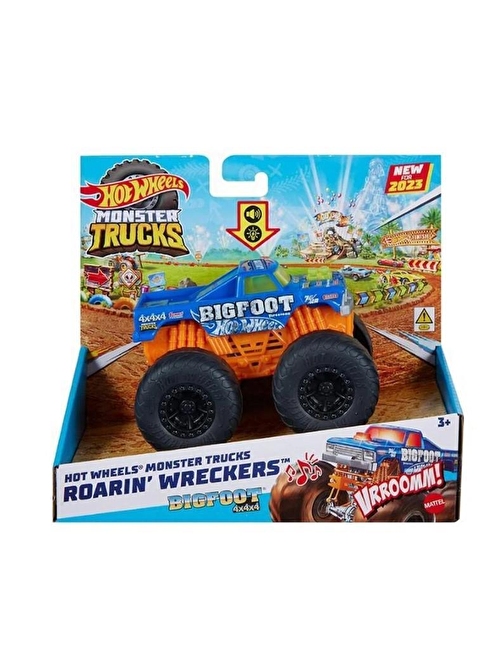 Hot Wheels Monster Trucks Kükreyen Arabalar HDX60-HMM53