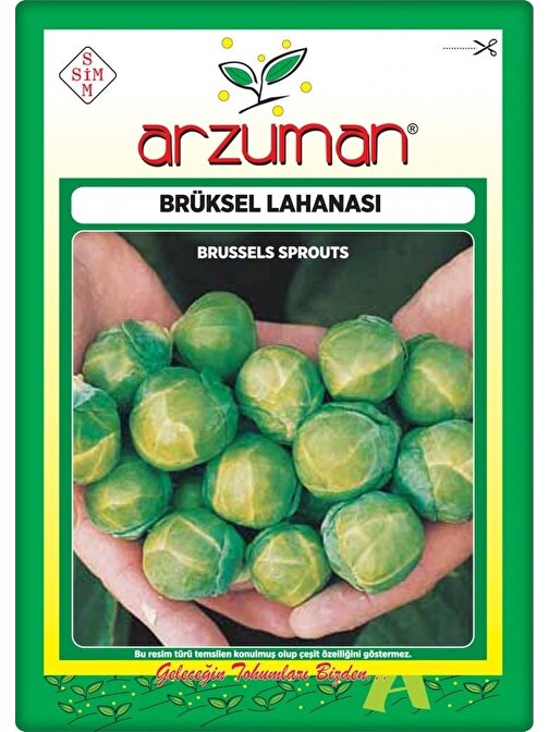 Arzuman Brüksel Lahanası Tohumu 200 Adet