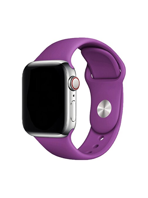 E2M Apple Watch 38 - 40 - 41 mm Silikon Akıllı Saat Kordonu Mor