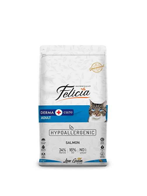 Felicia Somon Balıklı Yetişkin Kedi Maması 2 Kg