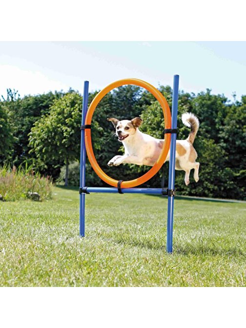 Trixie Köpek Agility Eğitim Çemberi 115×3Cm 65Cm