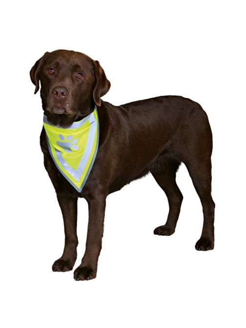 Trixie Köpek Bandanası L-Xl 42-60Cm