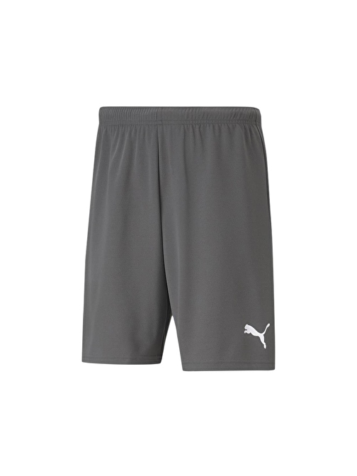 Puma Teamrise Short Erkek Şortu 70494213 Gri