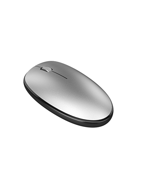 Pusat Pusat Business Pro 1600 DPI Kablosuz 3D Gümüş Optik Mouse