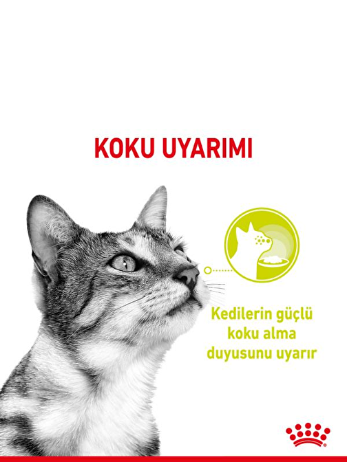 Royal Canin Sensory Smell Gravy Adult Yetişkin Kedi Konservesi 12 Adet 85 Gr