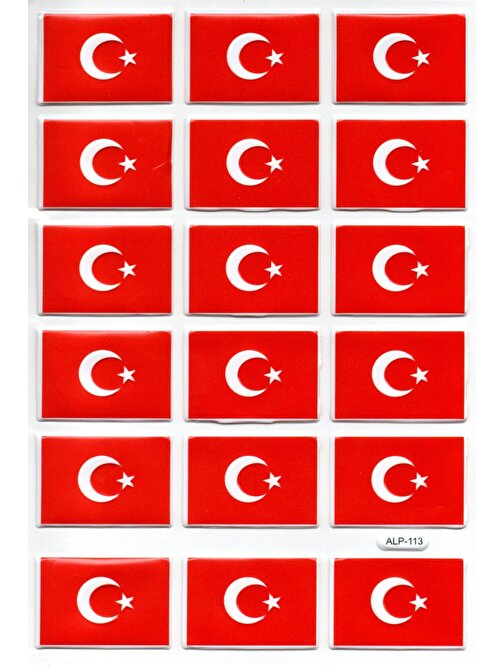 Sticker Kabartmalı A4 Boyutunda Stiker Defter, Planlayıcı Etiket-(lim113) -Türk Bayrağı