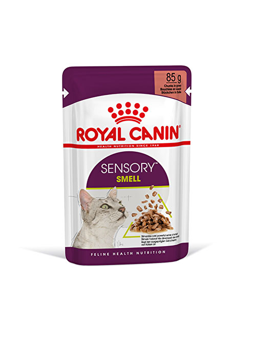 Royal Canin Sensory Smell gravy Adult Yetişkin Kedi Konservesi 85 gr