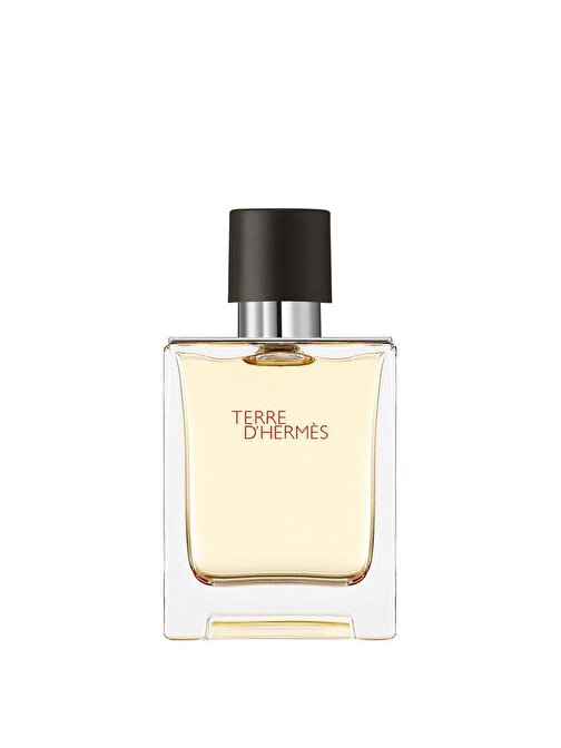 Hermes Terre D EDT Odunsu-Baharatlı Erkek Parfüm 50 ml