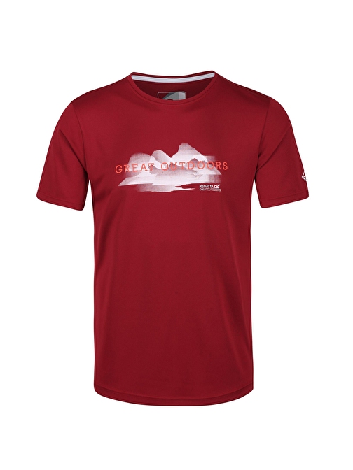 Regatta Fingal V Erkek T-Shirt-Bordo Çok Renkli M