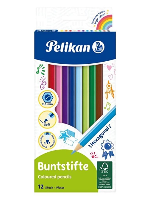 Pelikan Karton Kutulu Kuru Boya Kalemi 12'li Çok Renkli