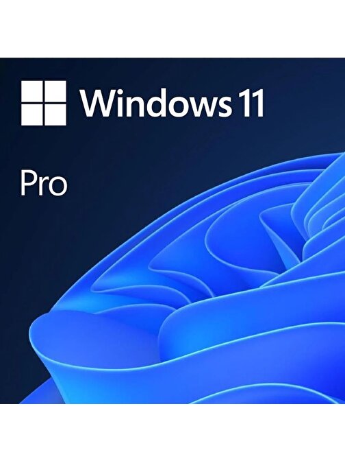 Microsoft Win 11 Pro ESD TR