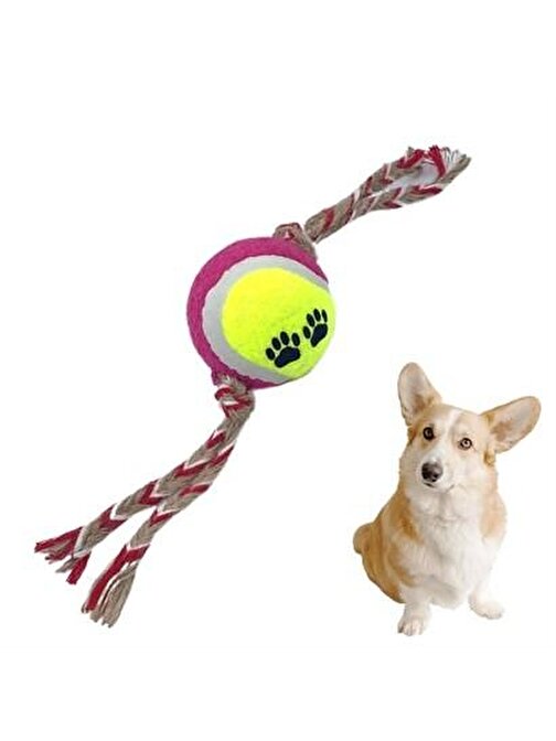 Nefertiya Buffer Renkli Halat Ve Tenis Toplu Yumaklı Köpek Çekiştirme Halat Oyuncağı