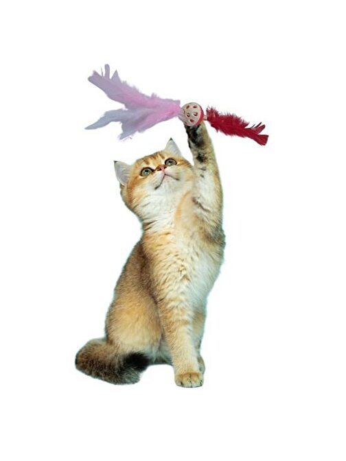 Nefertiya Tüylü Püsküllü Kedi Oyuncağı Dikkat Çekici Renkli Sevimli Evcil Hayvan Oyuncağı